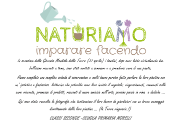 NaturiAMO-1